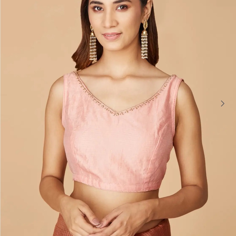 Brand new fabindia Indian Pakistani silk golden striped with embroidered blouse